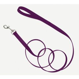 Coastal Single-Ply Nylon Dog Leash Purple 3-4 in x 4 ft