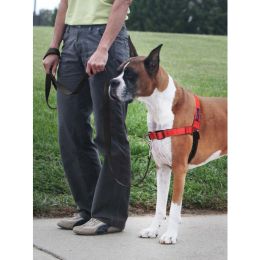 PetSafe Deluxe Easy Walk Steel Dog Harness Black/Rose, 1ea/MD/LG