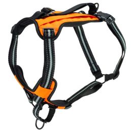 PetSafe Walk Along Outdoor Dog Harness Orange, 1ea/LG