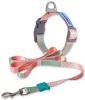 Touchdog 'Trendzy' 2-in-1 Matching Fashion Designer Printed Dog Leash and Collar