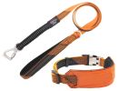 Pet Life 'Geo-prene' 2-in-1 Shock Absorbing Neoprene Padded Reflective Dog Leash and Collar