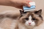 Pet Life 'Zipocket' 2-in-1 Underake and Stainless Steel Travel Grooming Pet Comb