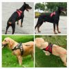 Dog Chest Strap Traction Rope Explosion proof Flushing Dog Chest Strap