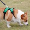 dog harness set; with leas frog leash pet mesh breathable small dog chest back retractable dog leash pet harness