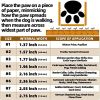 Dog Boots Breathable Dog Shoes for Small Medium Large Dogs; Waterproof Anti-Slip Puppy Booties Paw Protector for Hot Pavement Winter Snow Hiking with